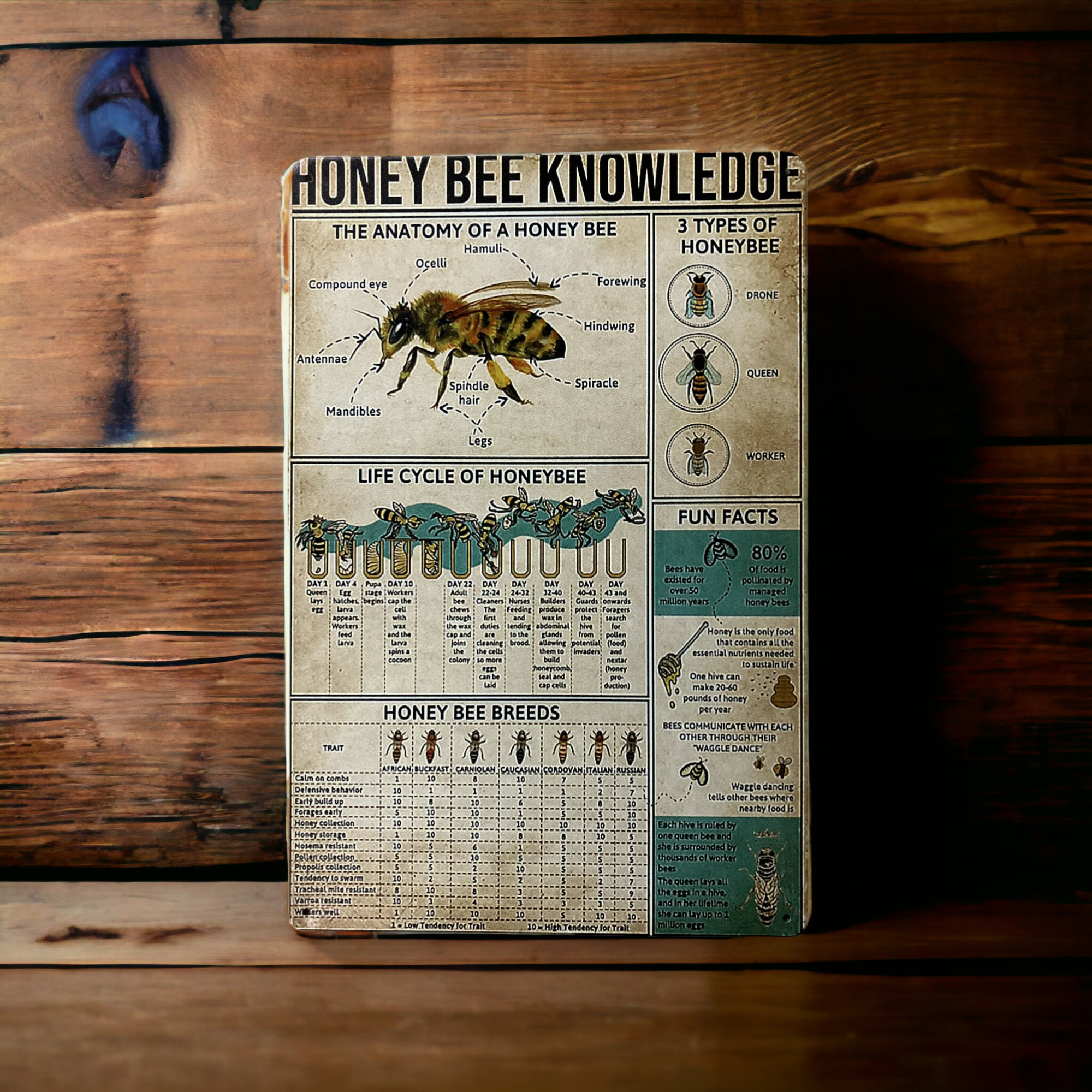 Honey Bee Knowledge