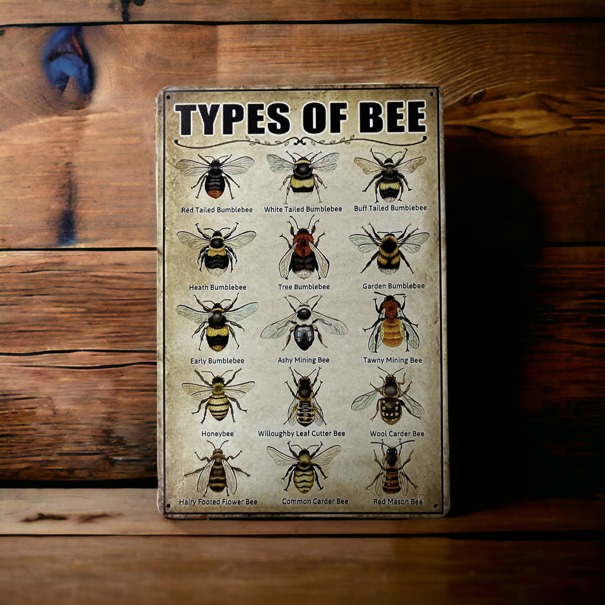 Type of Bee