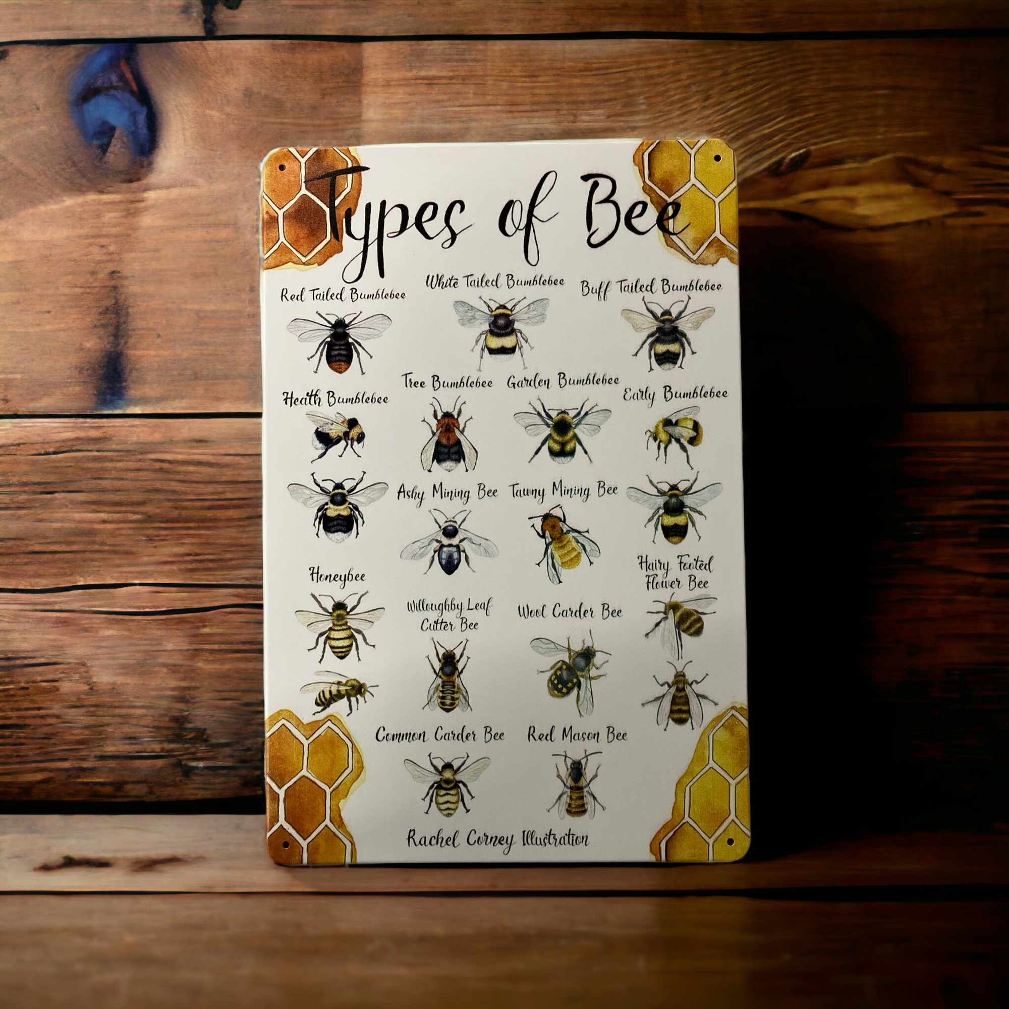 Type of Bee